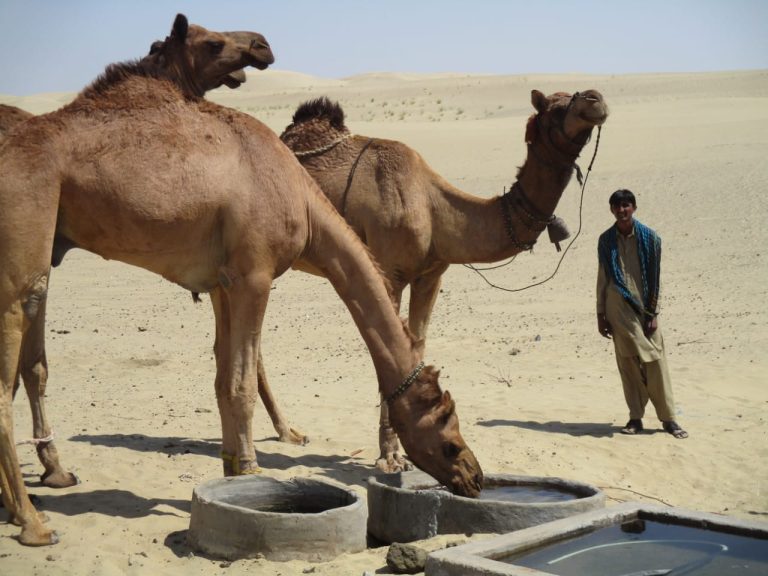 482324172_633694926049276_1116029220260251367_n